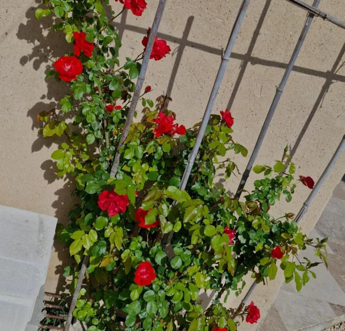 Hotel Le Jardin Des Oliviers Apt Pensjonat